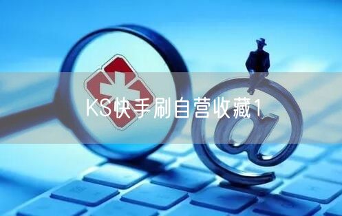 KS快手刷自营收藏1