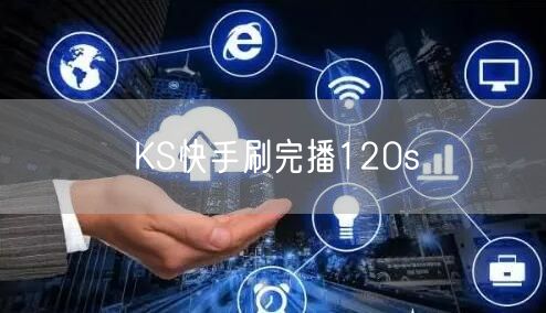 KS快手刷完播120s