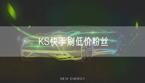 KS快手刷低价粉丝