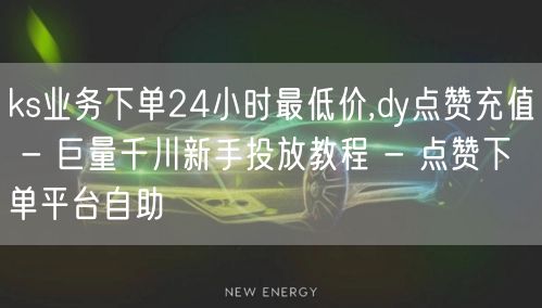 ks业务下单24小时最低价,dy点赞充值