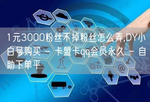 1元3000粉丝不掉粉丝怎么弄,DY小白