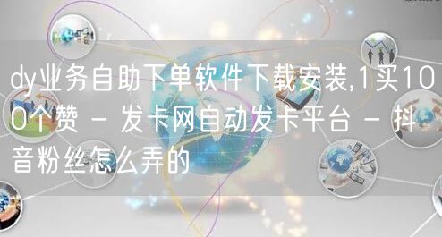 dy业务自助下单软件下载安装,1买100