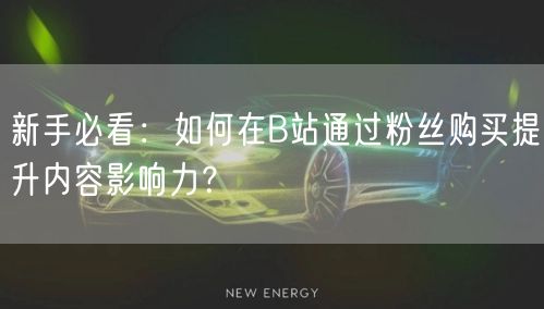 新手必看：如何在B站通过粉丝购买提升内容