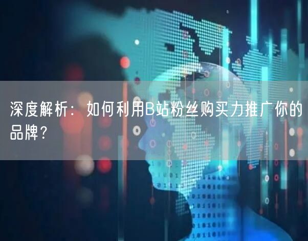 深度解析：如何利用B站粉丝购买力推广你的