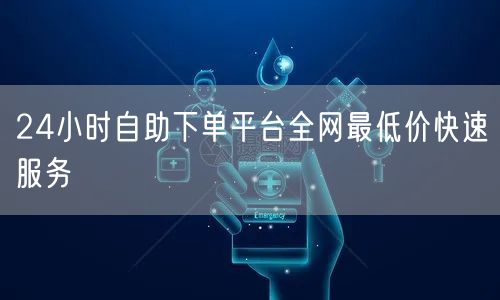 24小时自助下单平台全网最低价快速服务