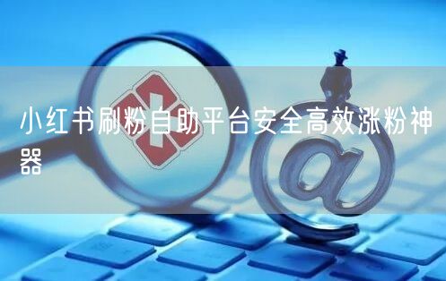 小红书刷粉自助平台安全高效涨粉神器