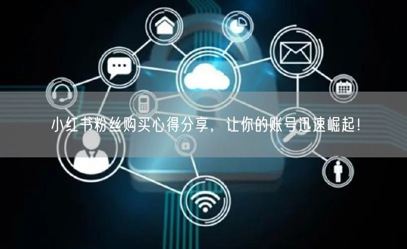 小红书粉丝购买心得分享，让你的账号迅速崛