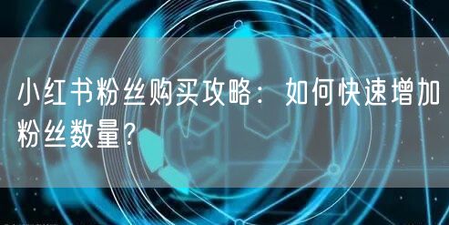 小红书粉丝购买攻略：如何快速增加粉丝数量
