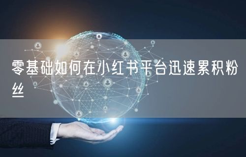 零基础如何在小红书平台迅速累积粉丝