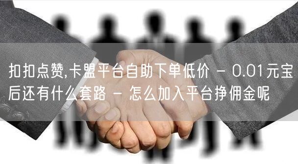 扣扣点赞,卡盟平台自助下单低价 - 0.