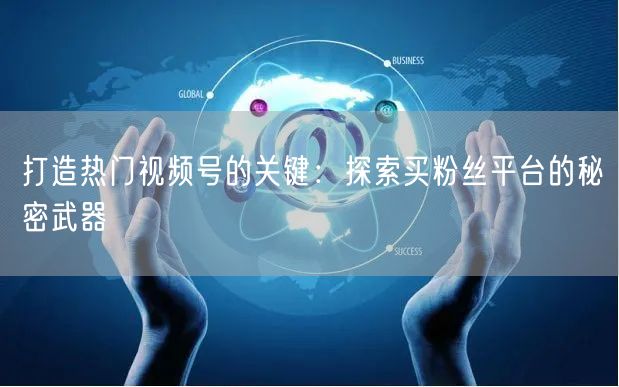 打造热门视频号的关键：探索买粉丝平台的秘