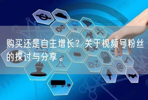 购买还是自主增长？关于视频号粉丝的探讨与
