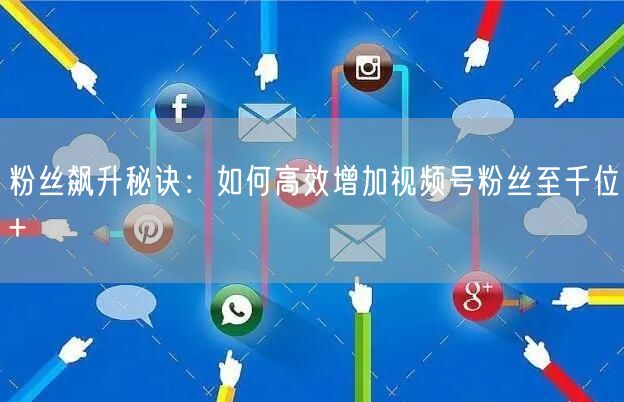 粉丝飙升秘诀：如何高效增加视频号粉丝至千