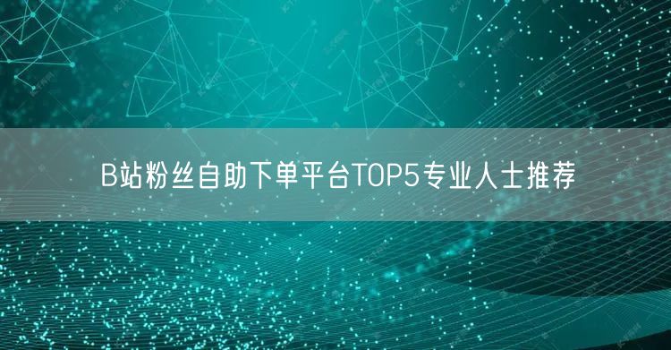 B站粉丝自助下单平台TOP5专业人士推荐