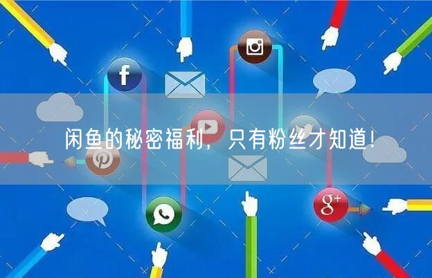 闲鱼的秘密福利，只有粉丝才知道！