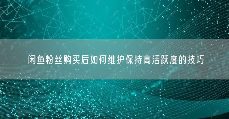 闲鱼粉丝购买后如何维护保持高活跃度的技巧