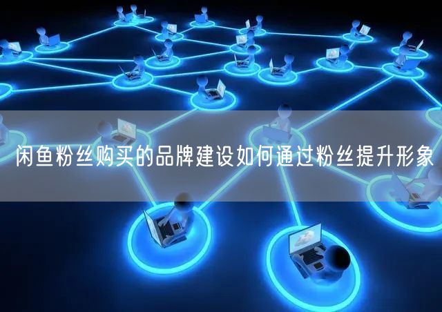 闲鱼粉丝购买的品牌建设如何通过粉丝提升形