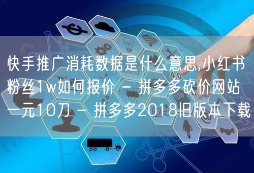 快手推广消耗数据是什么意思,小红书粉丝1