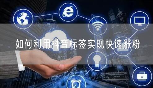 如何利用抖音标签实现快速涨粉