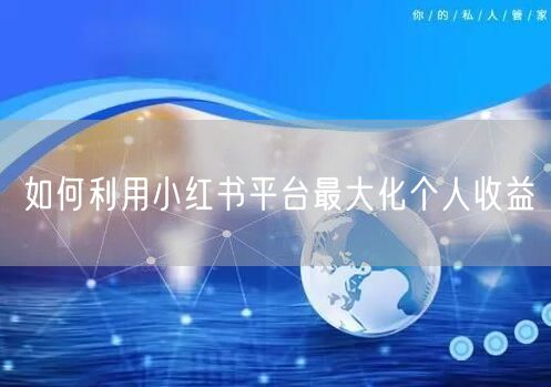 如何利用小红书平台最大化个人收益