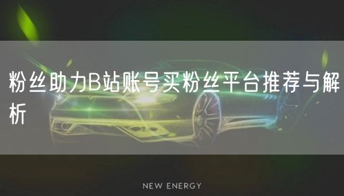 粉丝助力B站账号买粉丝平台推荐与解析
