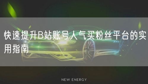 快速提升B站账号人气买粉丝平台的实用指南