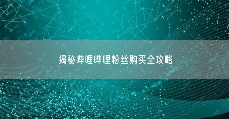 揭秘哔哩哔哩粉丝购买全攻略