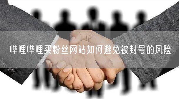 哔哩哔哩买粉丝网站如何避免被封号的风险