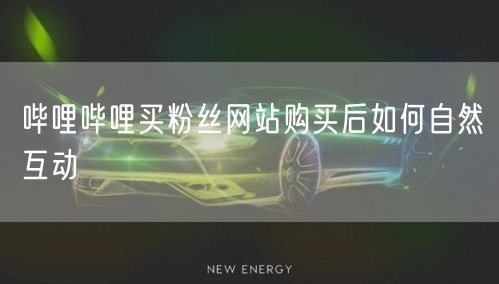 哔哩哔哩买粉丝网站购买后如何自然互动
