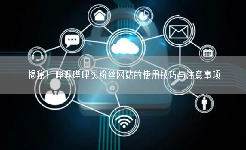 揭秘！哔哩哔哩买粉丝网站的使用技巧与注意