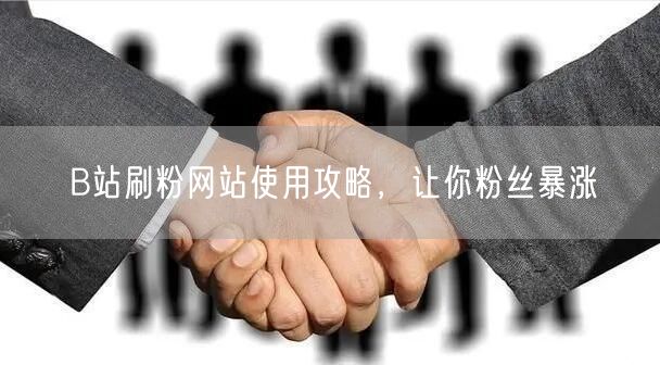 B站刷粉网站使用攻略，让你粉丝暴涨