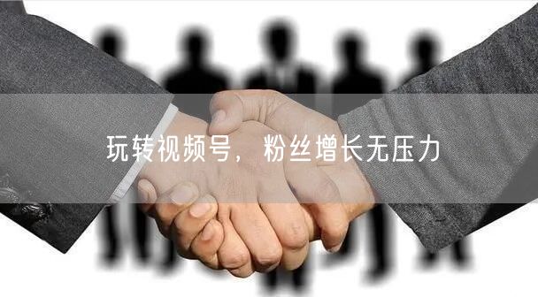 玩转视频号，粉丝增长无压力