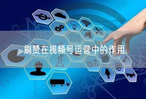 刷赞在视频号运营中的作用