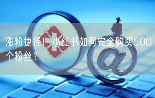 涨粉捷径！小红书如何安全购买500个粉丝