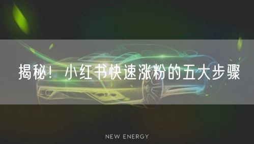 揭秘！小红书快速涨粉的五大步骤
