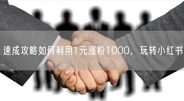 速成攻略如何利用1元涨粉1000，玩转小