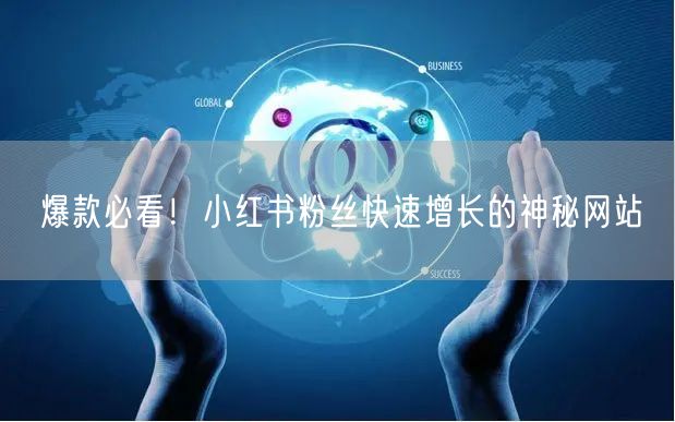 爆款必看！小红书粉丝快速增长的神秘网站