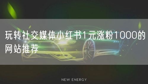 玩转社交媒体小红书1元涨粉1000的网站