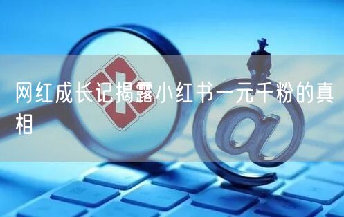 网红成长记揭露小红书一元千粉的真相