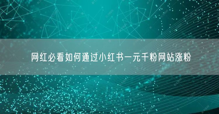 网红必看如何通过小红书一元千粉网站涨粉