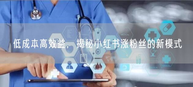 低成本高效益，揭秘小红书涨粉丝的新模式