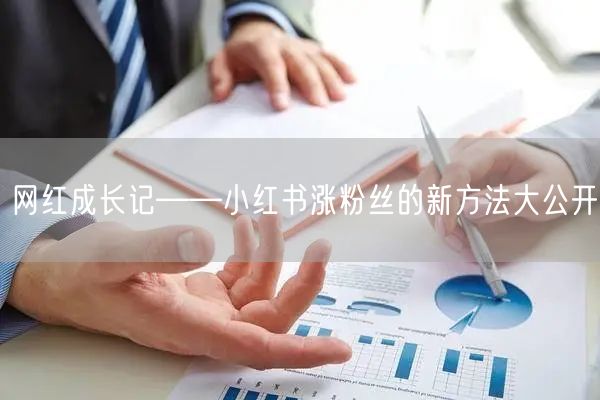 网红成长记——小红书涨粉丝的新方法大公开