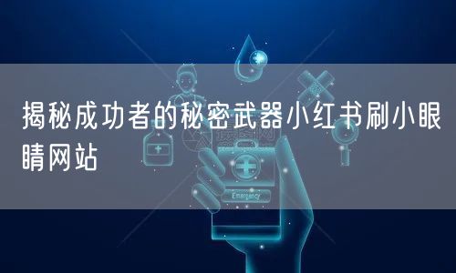 揭秘成功者的秘密武器小红书刷小眼睛网站