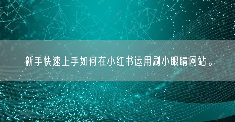 新手快速上手如何在小红书运用刷小眼睛网站